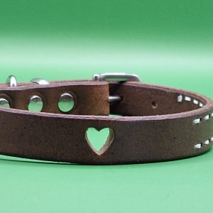 Ovratnica Primadora usnjena 17-O