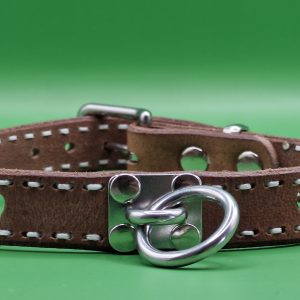 Ovratnica Primadora usnjena 24-O